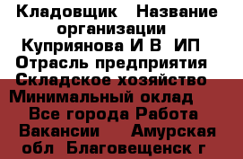 Кладовщик › Название организации ­ Куприянова И.В, ИП › Отрасль предприятия ­ Складское хозяйство › Минимальный оклад ­ 1 - Все города Работа » Вакансии   . Амурская обл.,Благовещенск г.